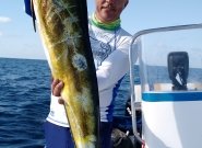 IMG_20150412_152045313_TOP